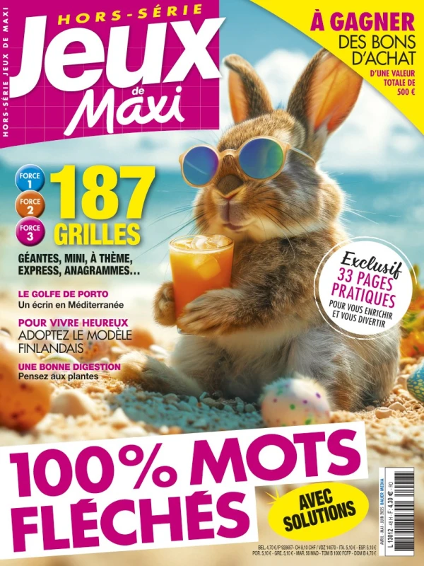 Jeux de Maxi HS FLECHES Jeux de Maxi HS FLECHES
