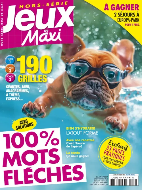 Jeux de Maxi HS FLECHES