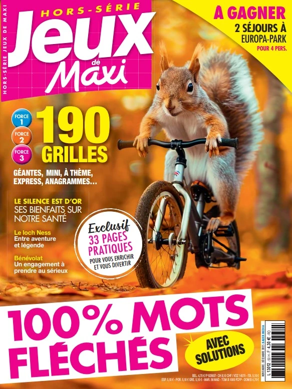 Jeux de Maxi HS FLECHES