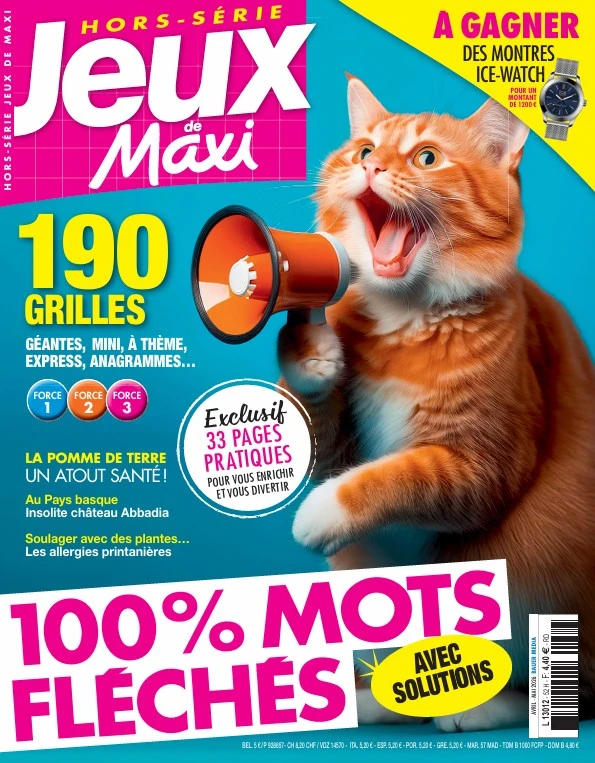 Jeux de Maxi HS FLECHES