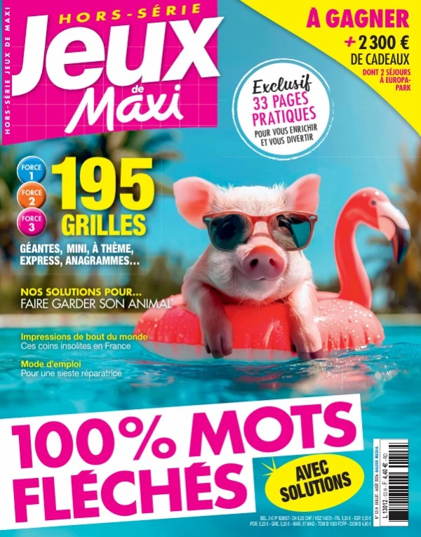 Jeux de Maxi HS FLECHES