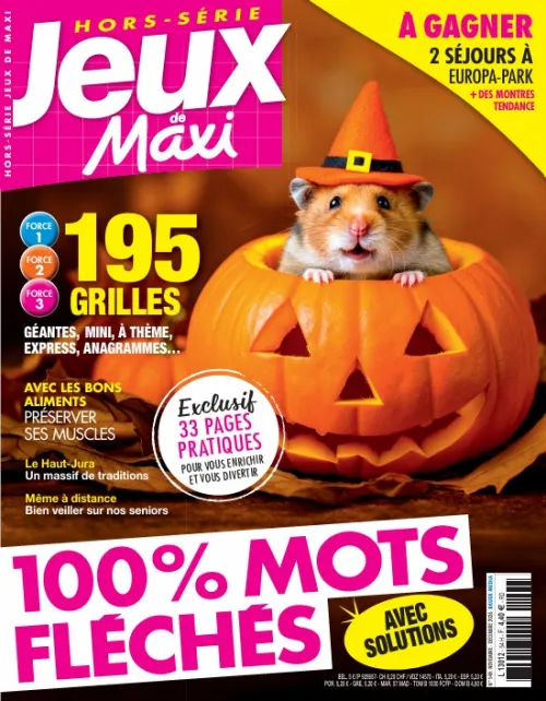 Jeux de Maxi HS FLECHES